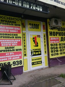 Первый Меховой Магазин Москва